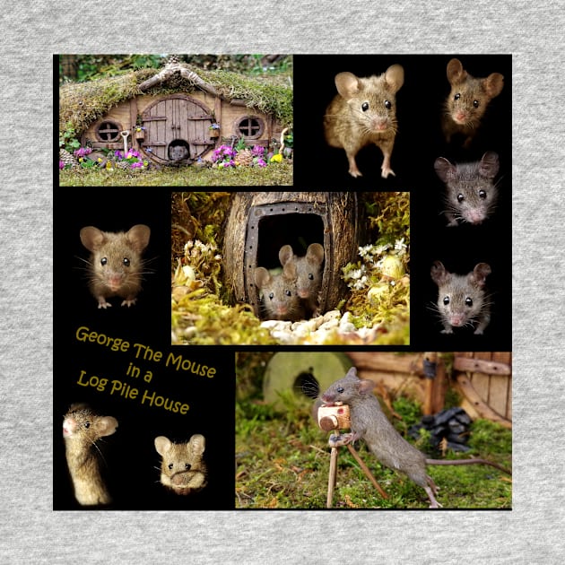 George the mouse in a log pile house large mixed images by Simon-dell